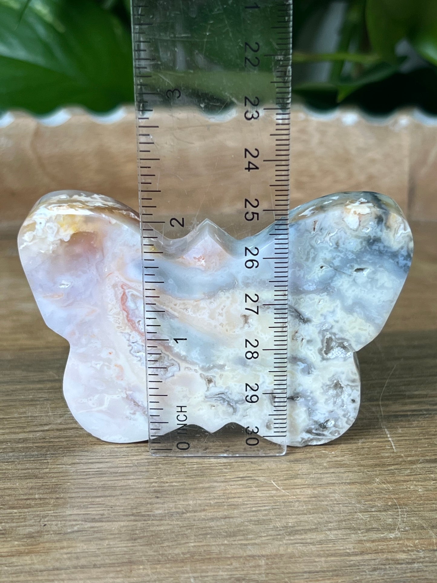 Rainbow Plume Agate Butterfly