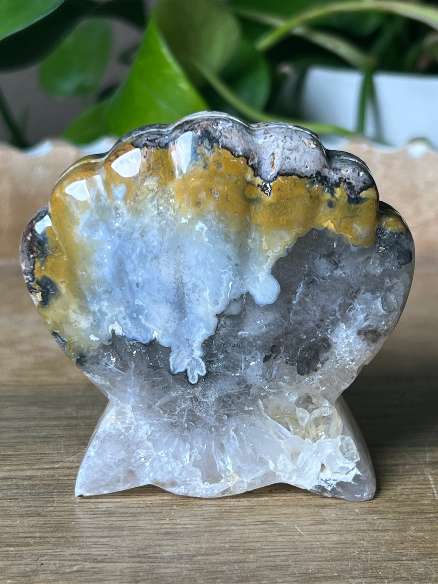 Brecciated Jasper Shell