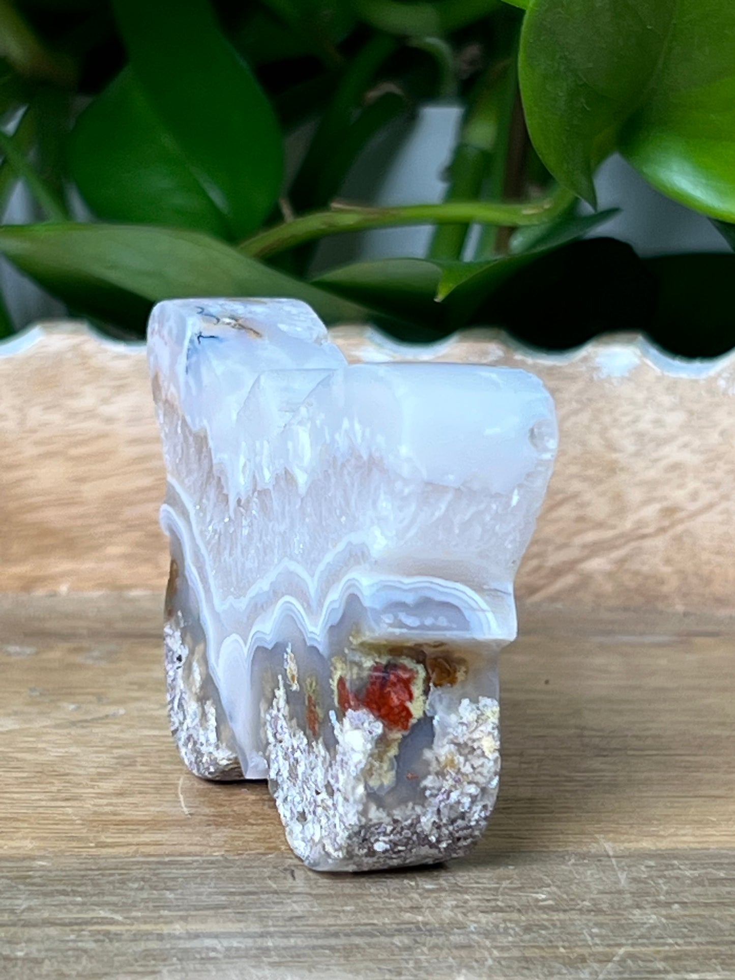 Scenic Moss Agate Butterfly