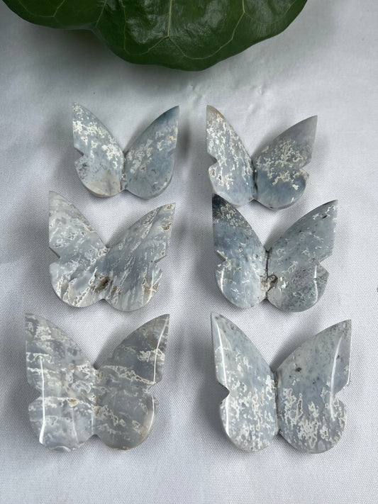 6pcs Grey Blue Plume Agate 3D butterfly