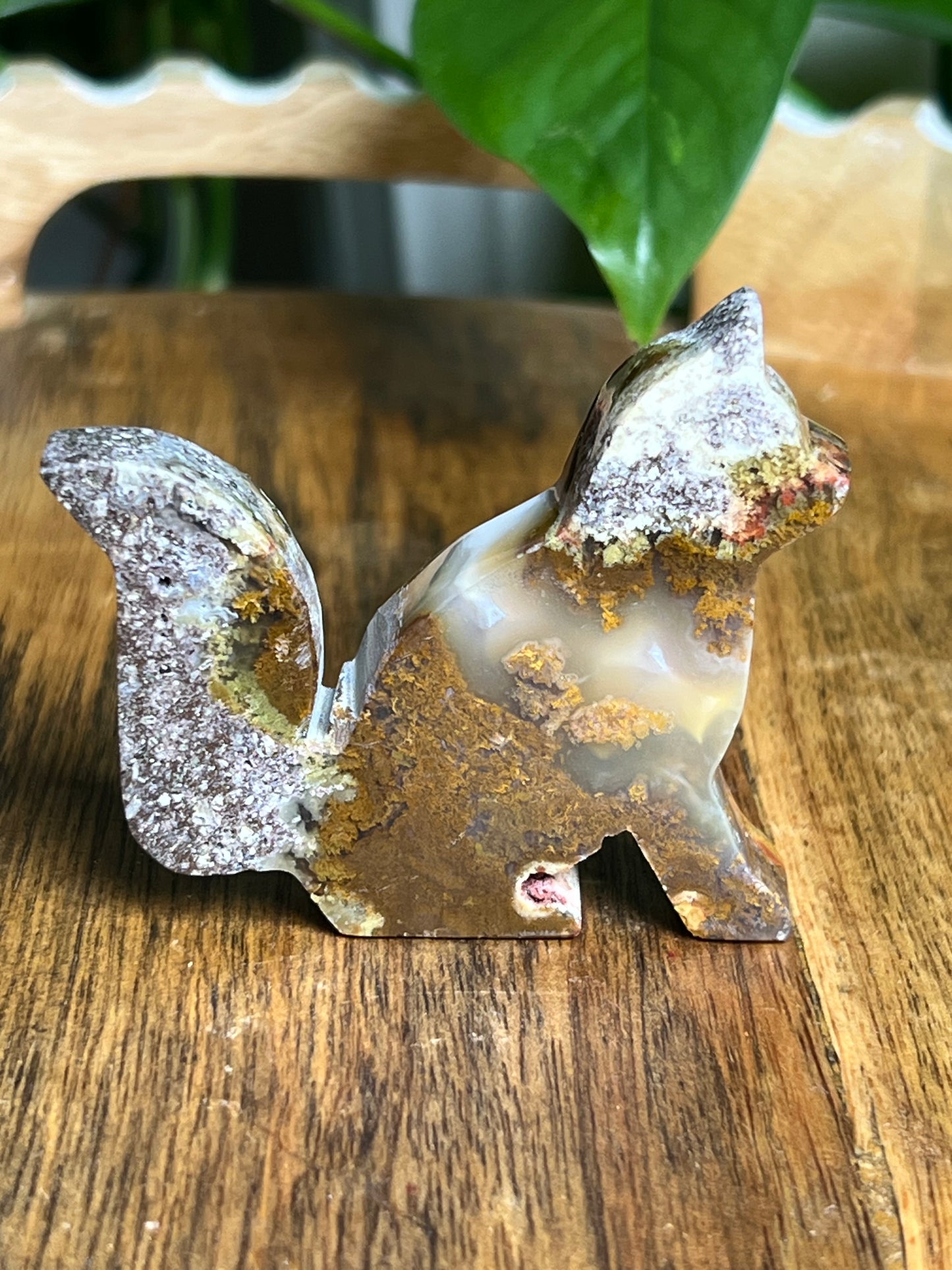 Scenic Moss Agate Fox PL