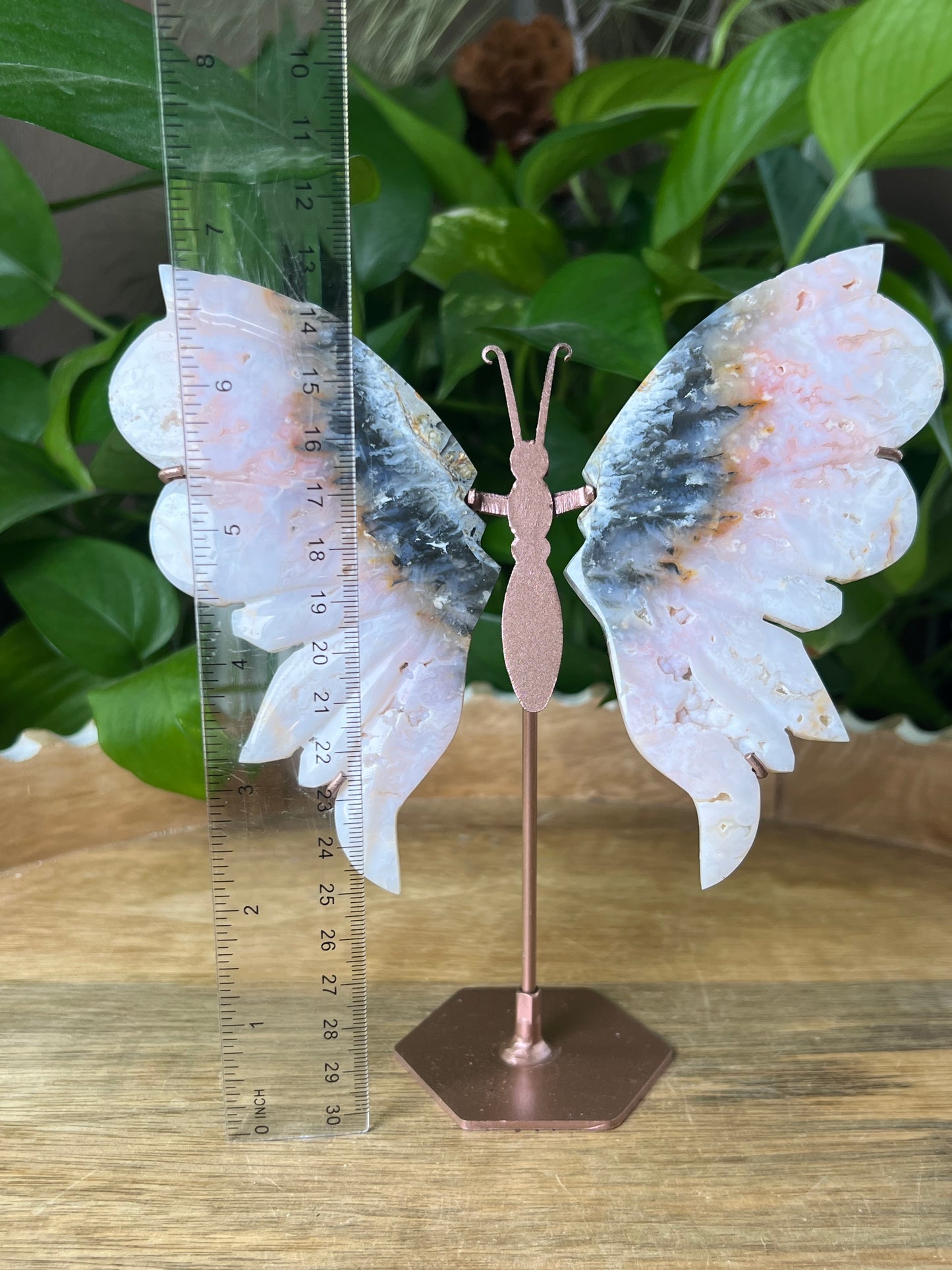 Rainbow Plume Agate Wings