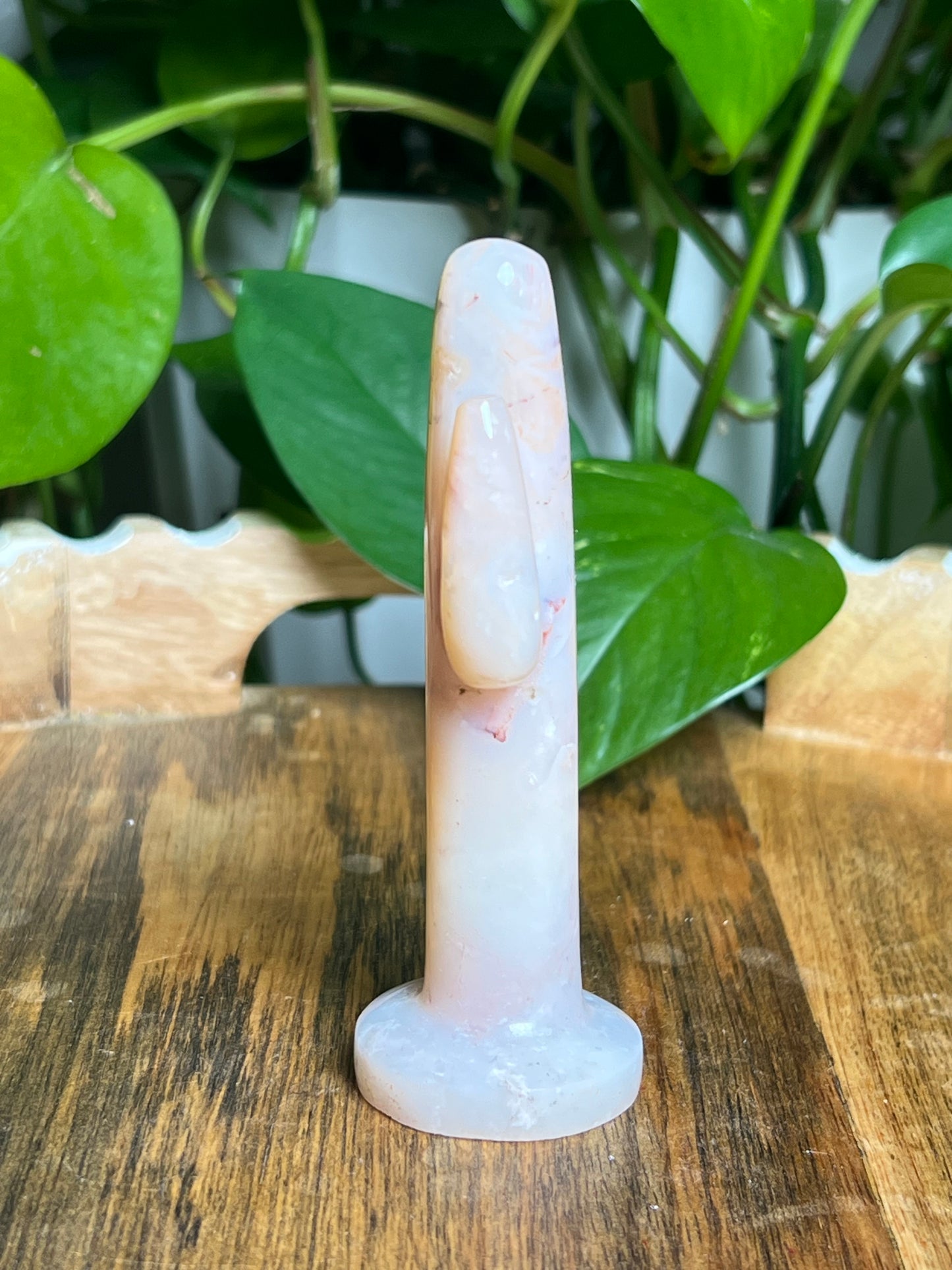 Pink Carnelian Cactus: NA