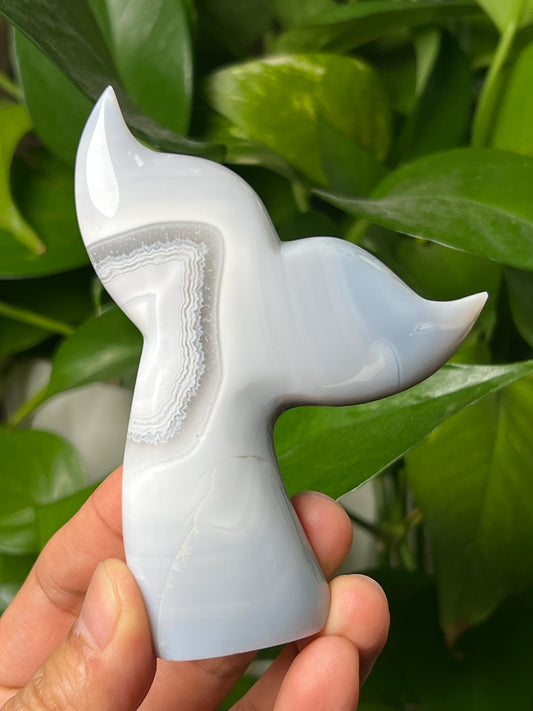 Blue Grey Lace Agate Tail