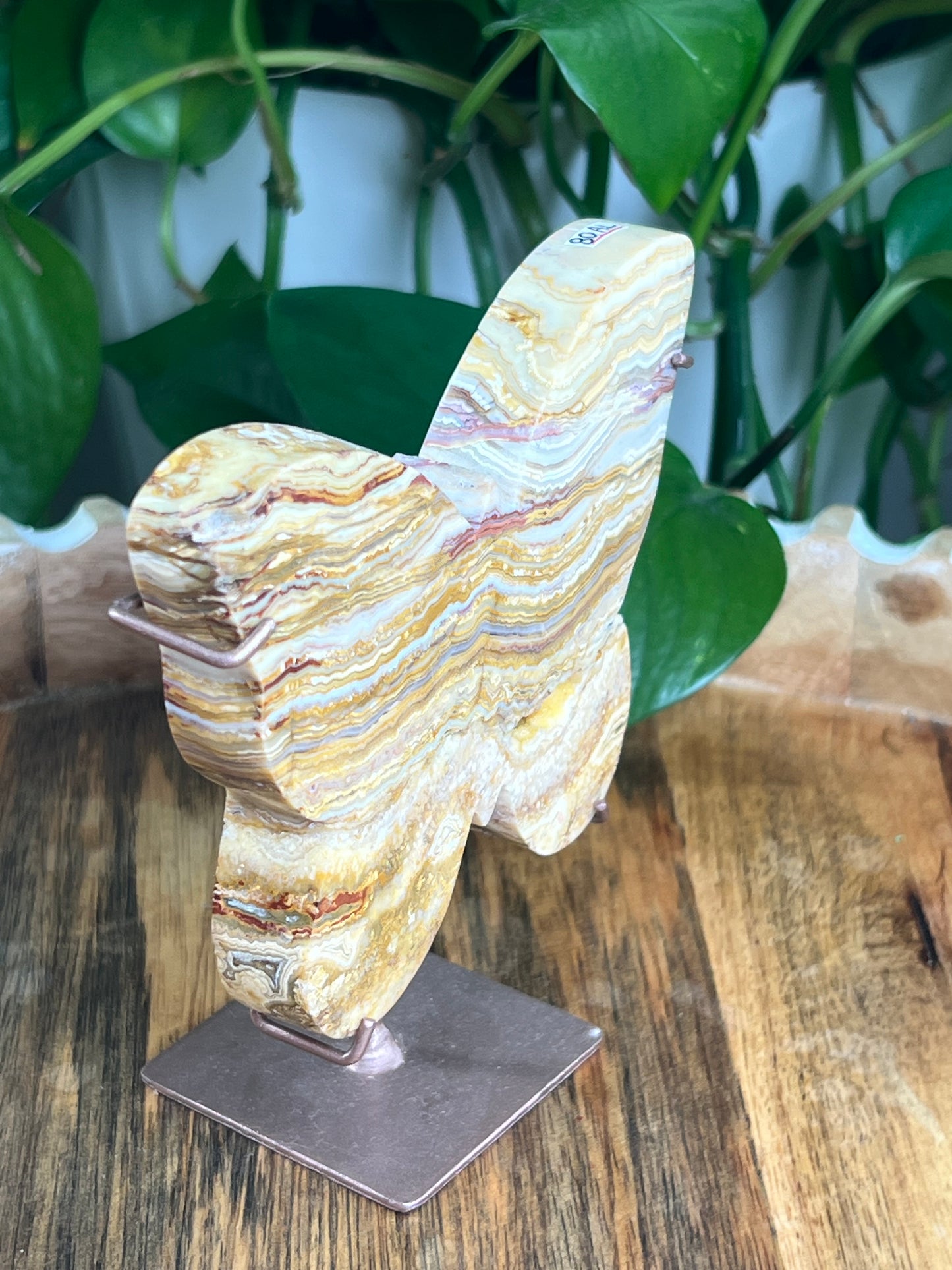 Crazy Lace Agate Butterfly: AL