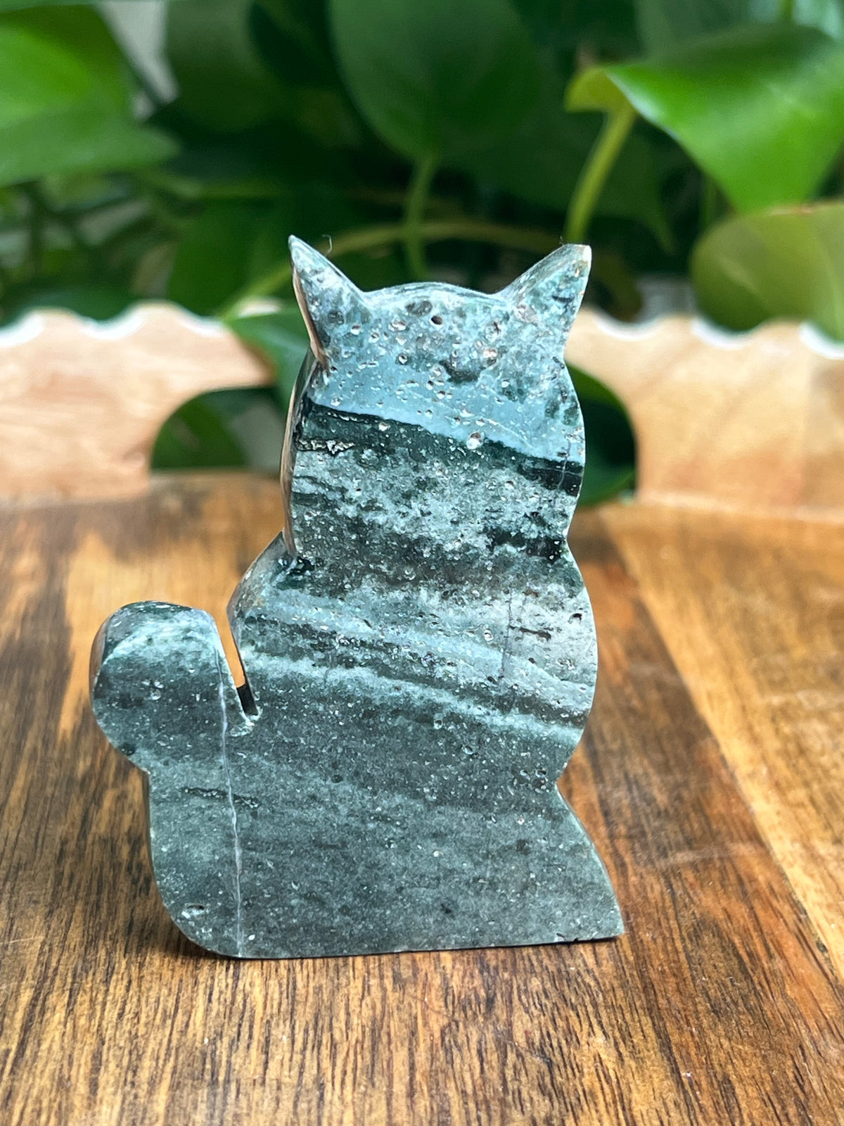 Blue Green Jasper Cat: HB