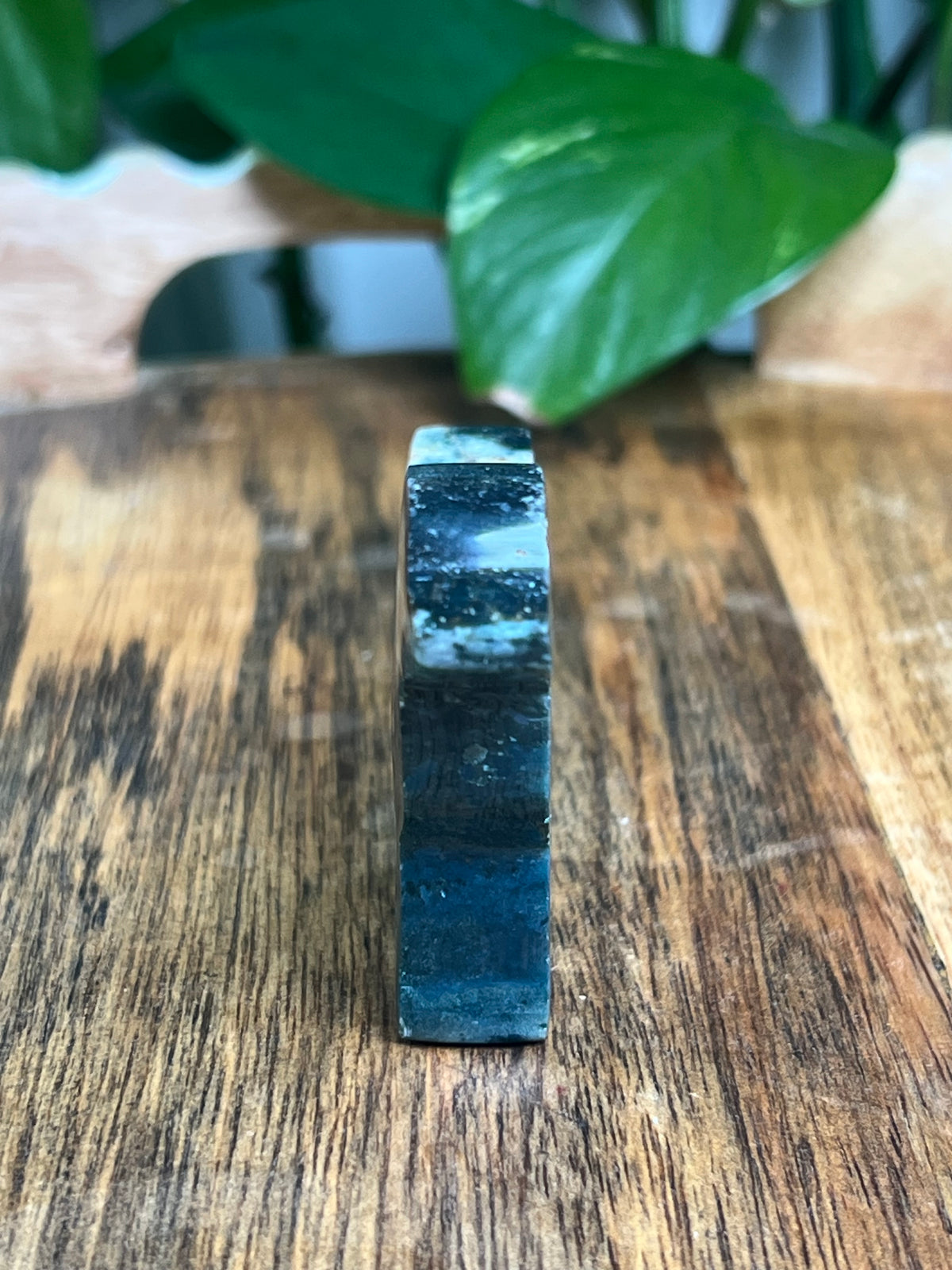 Blue Green Jasper Dog: BC
