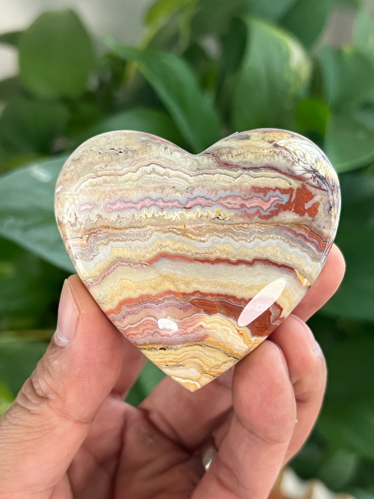 Crazy Lace Agate Small Puffy Moons