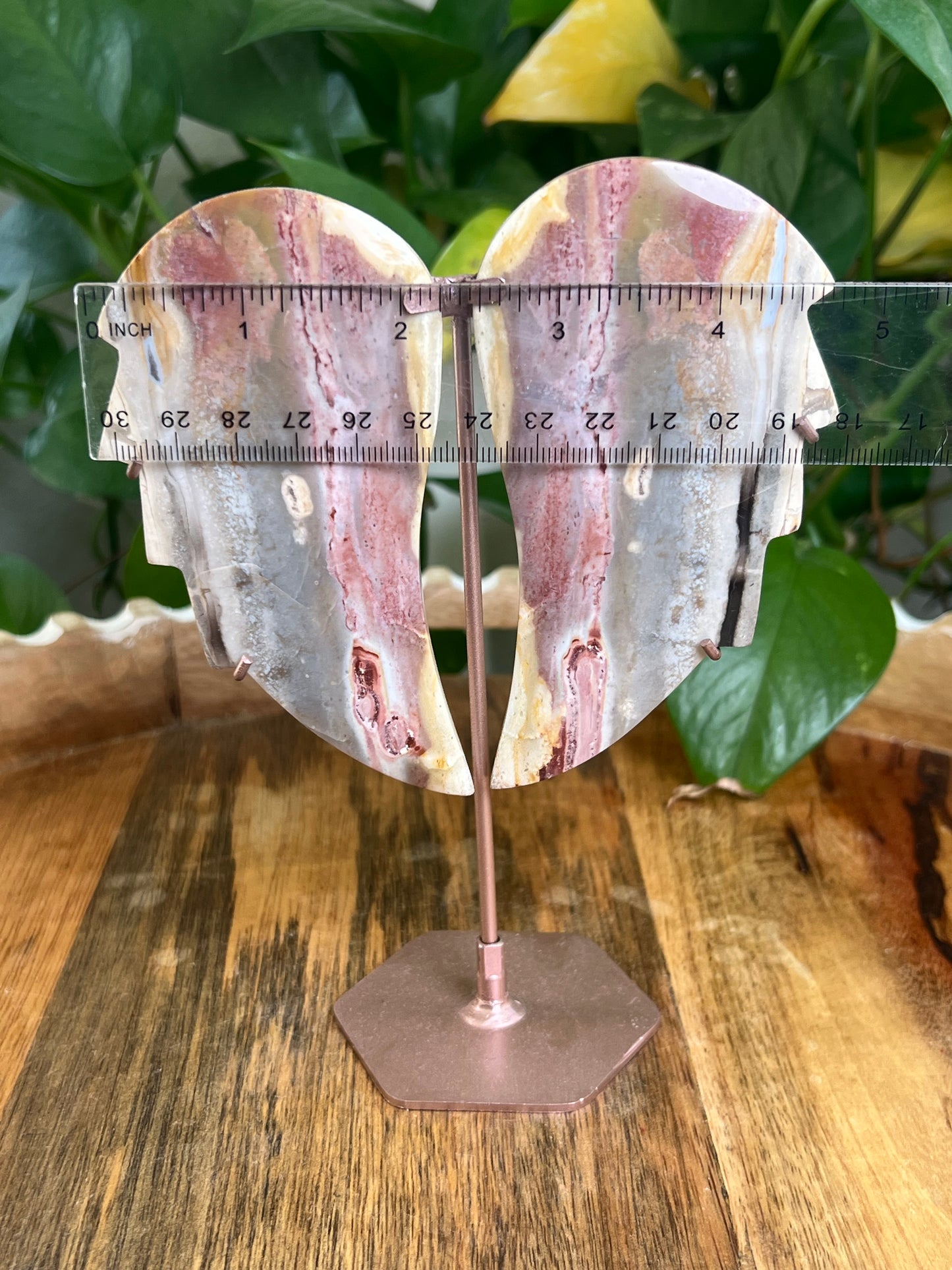 River Jasper Wings BL