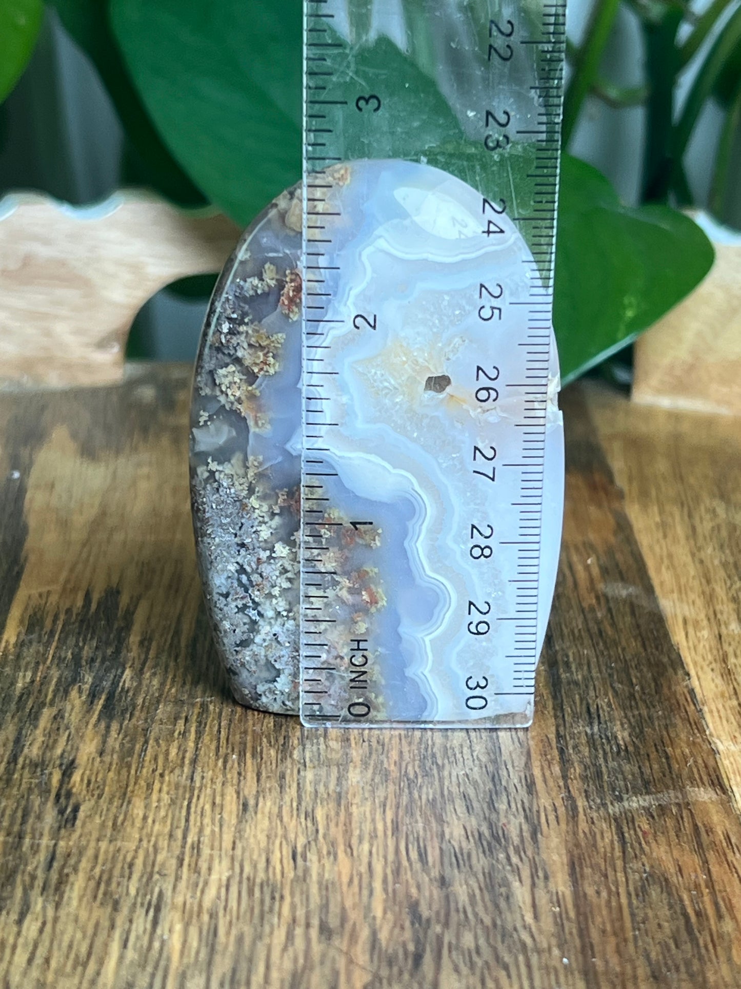Scenic Moss Agate Mini Freeform: QX