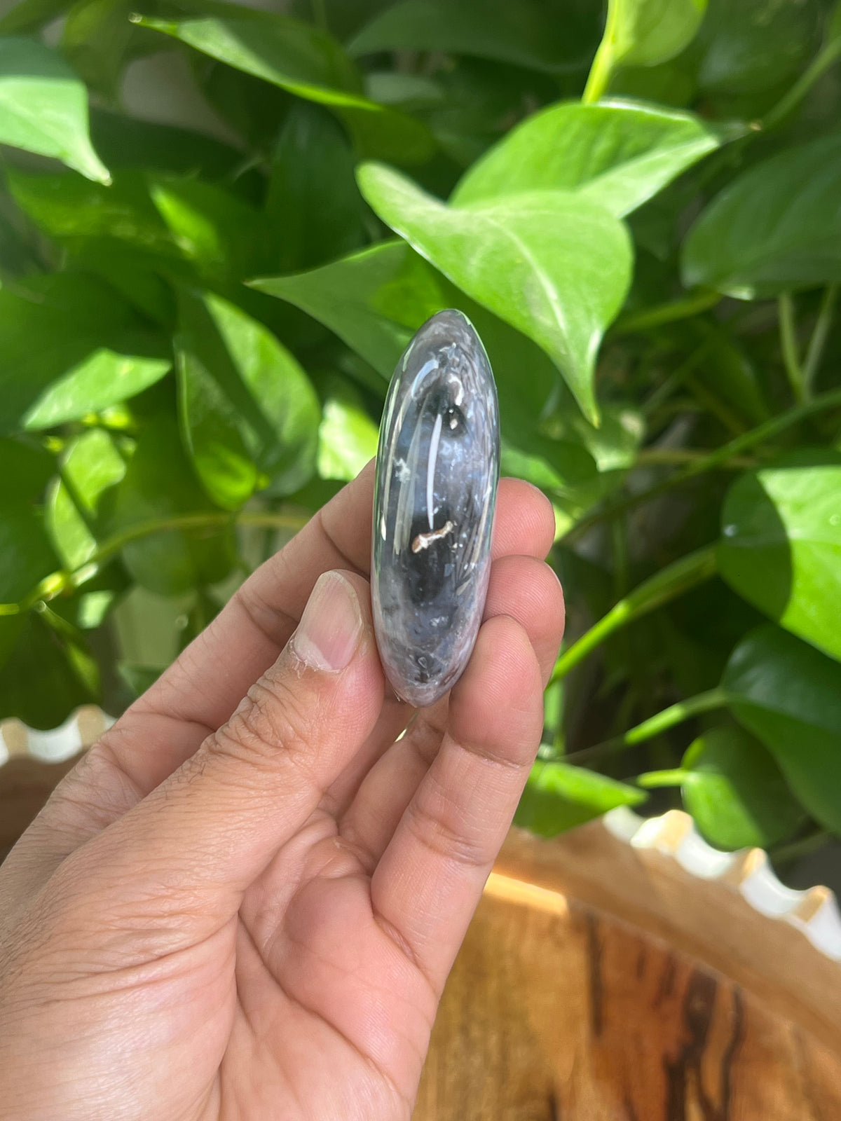Blue Plume Agate Palmstone: BK