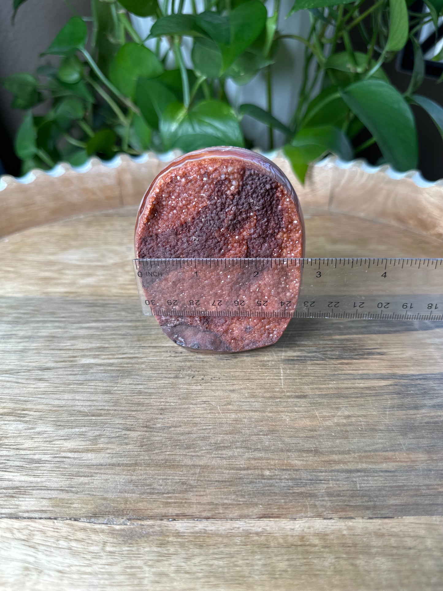 Crazy Lace Agate Freeform
