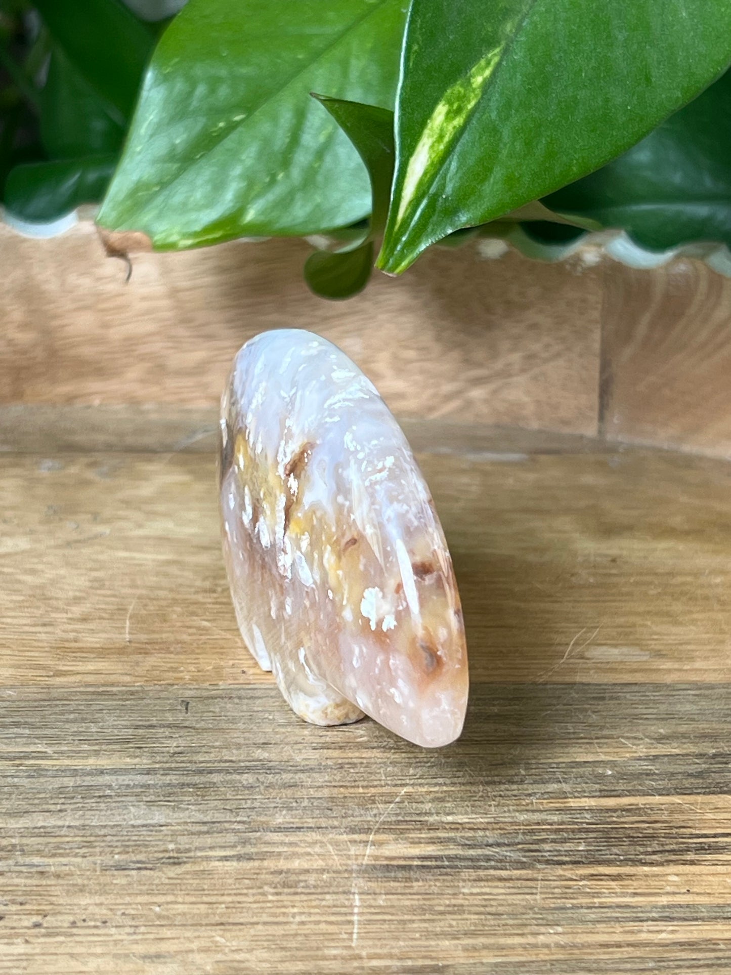 Rainbow Plume Agate Bear