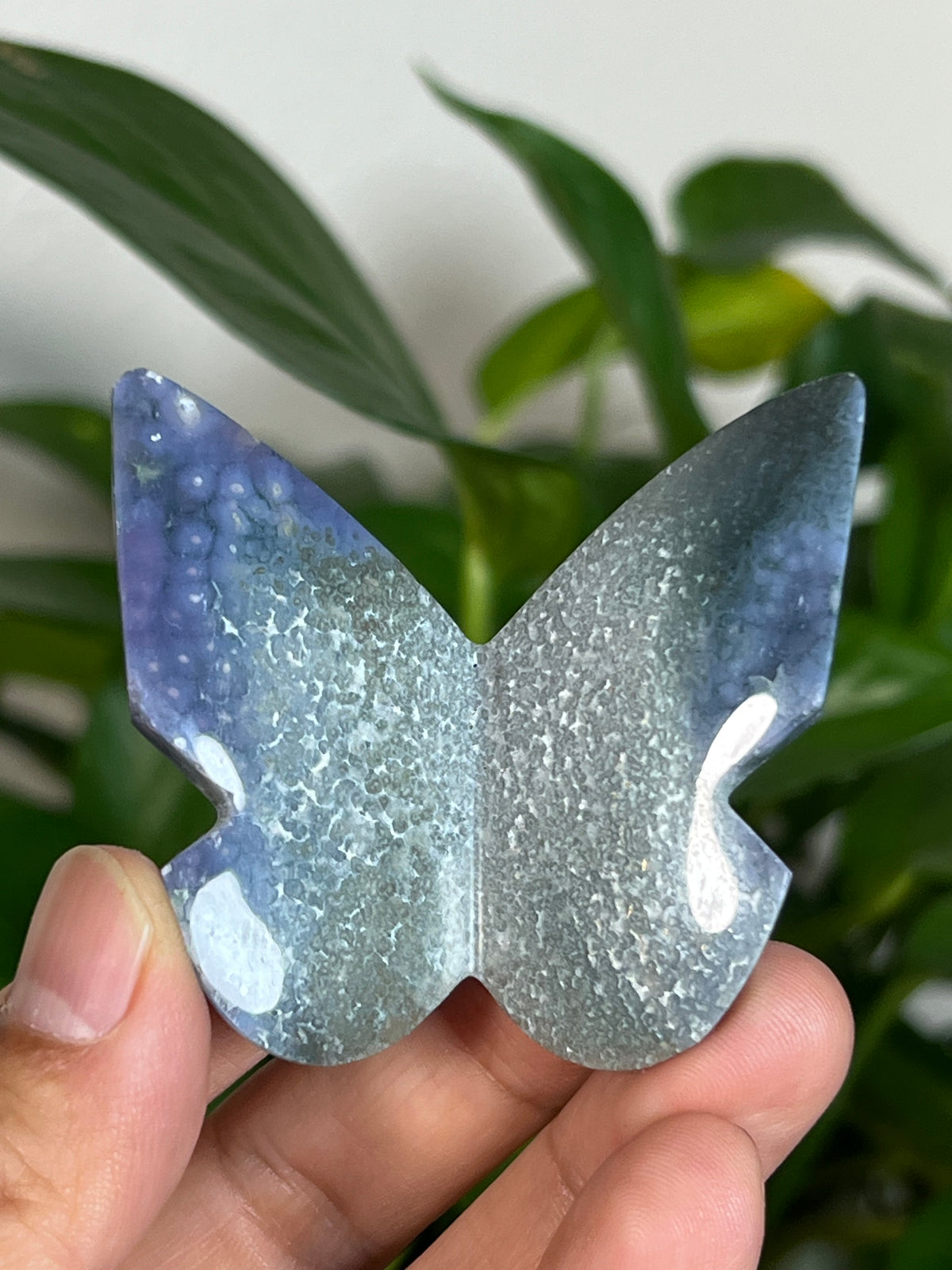 Grape Agate 3D Butterflies