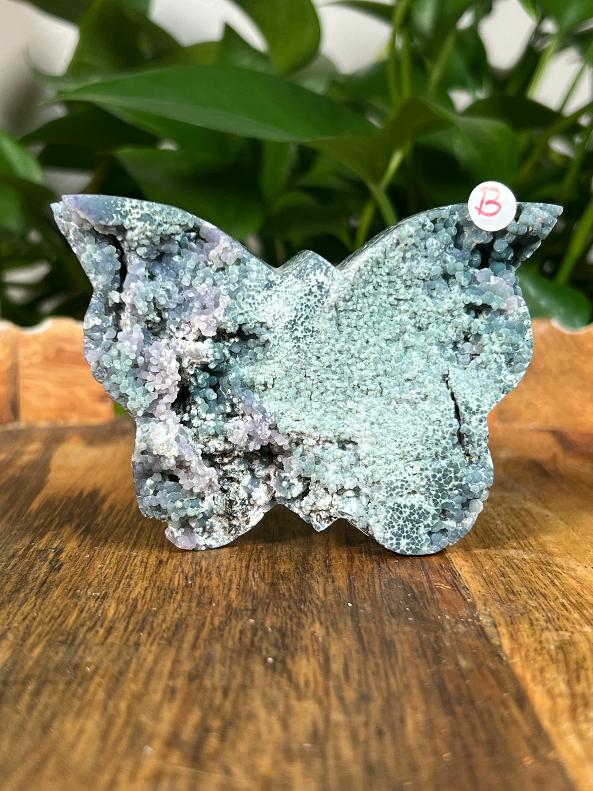 Grape Agate Butterflies