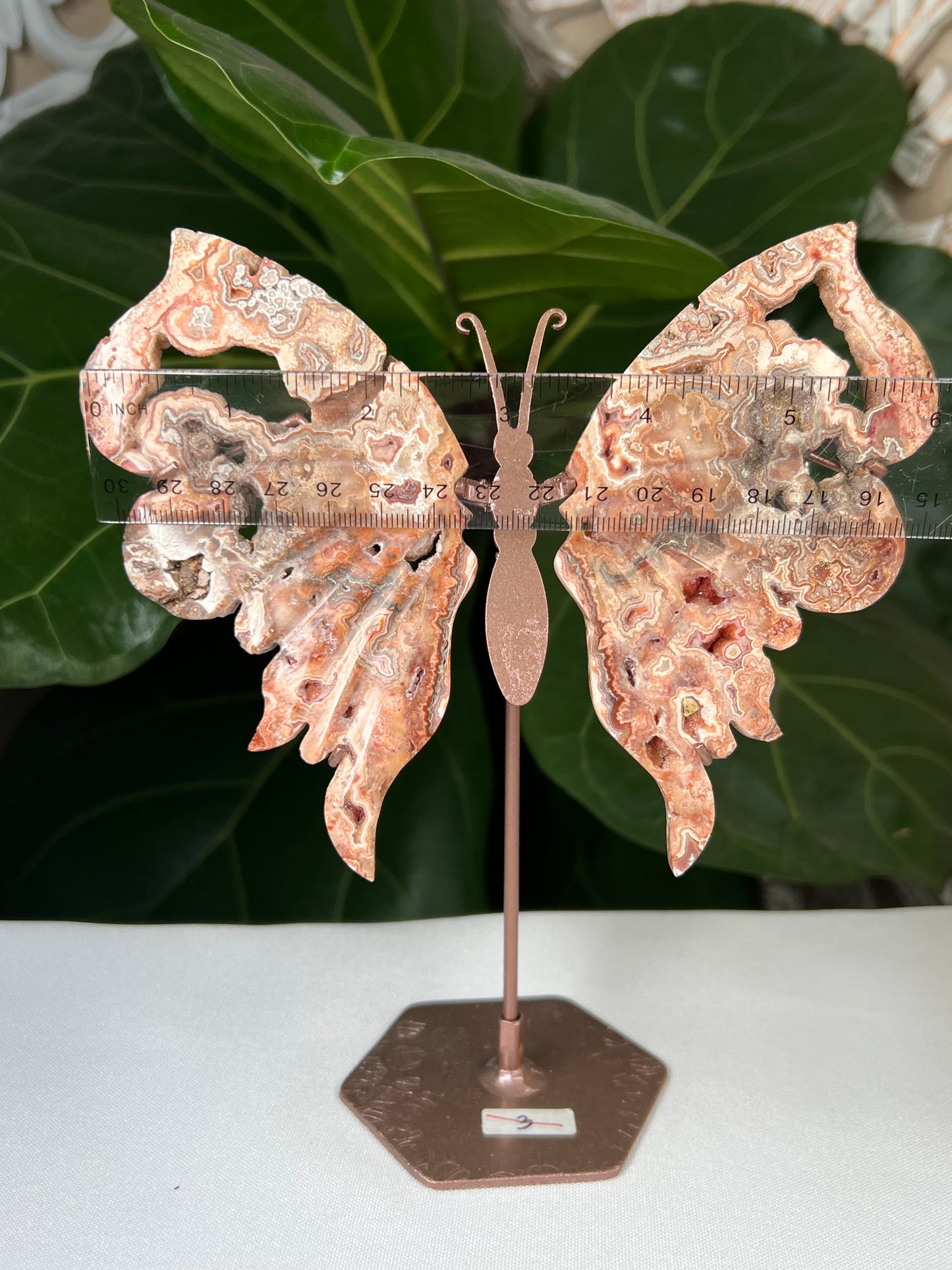 Crazy Lace Agate Wings
