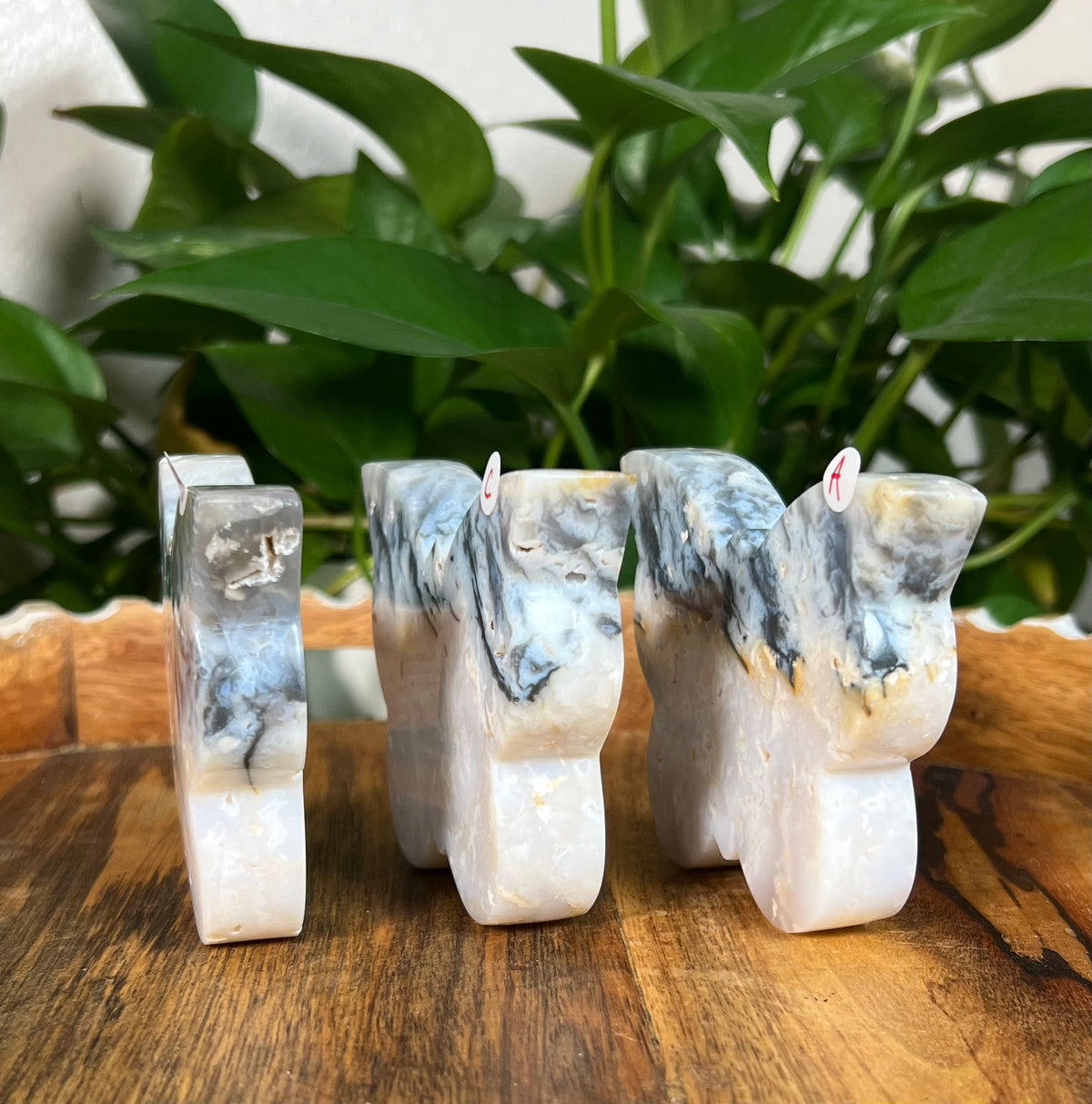 Rainbow Plume Agate Butterflies