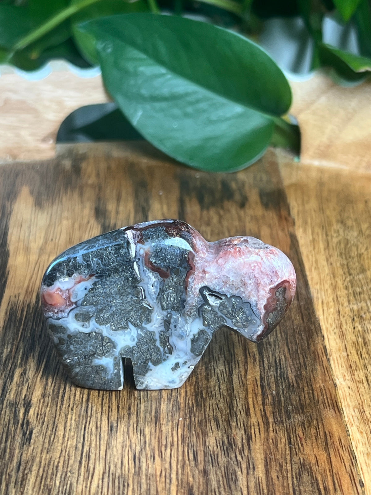 Marcasite Mini Buffalo: MC