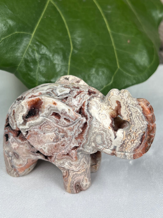 Crazy Lace Agate Elephant