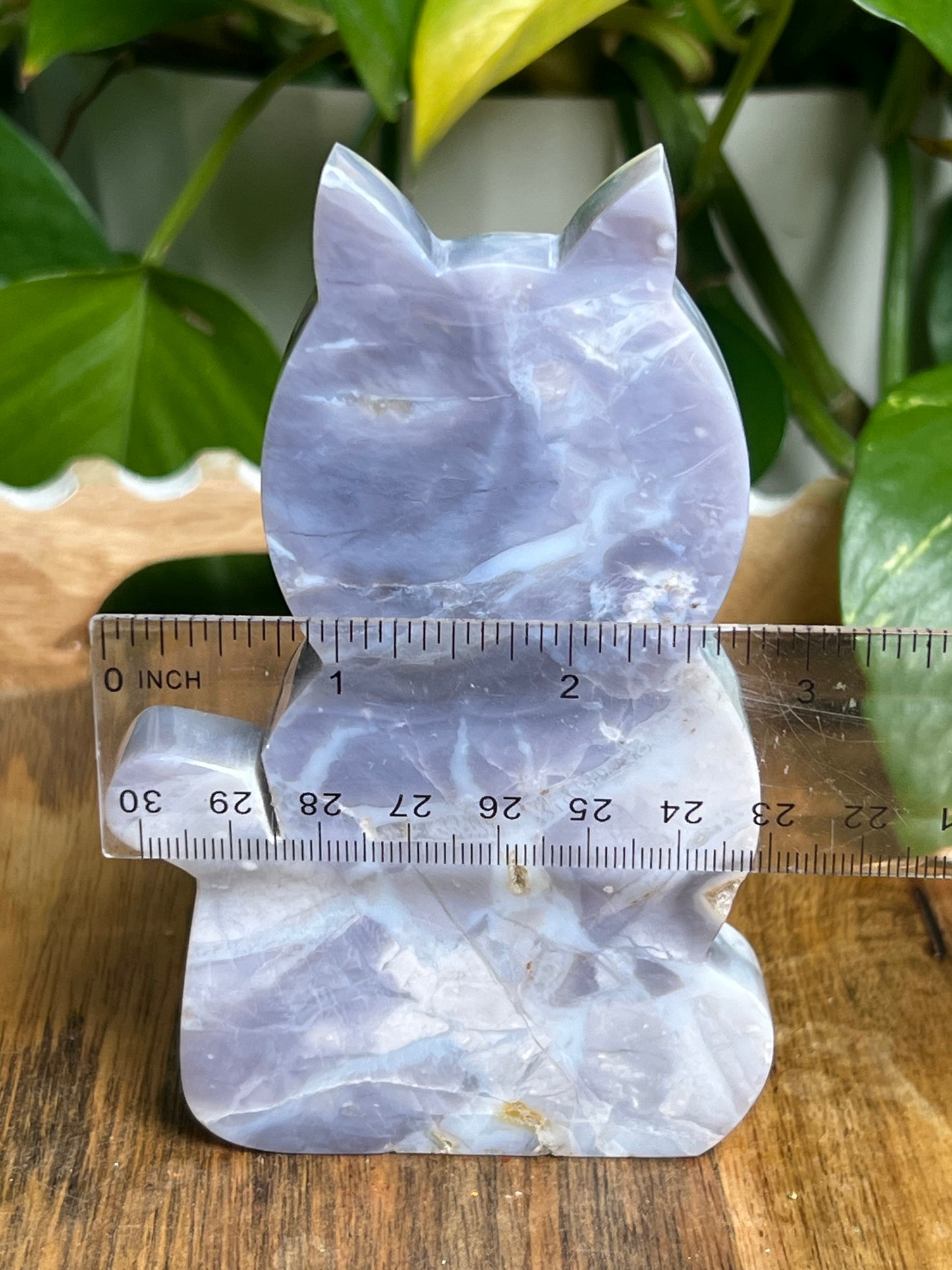 Purple Chalcedony Cat PS