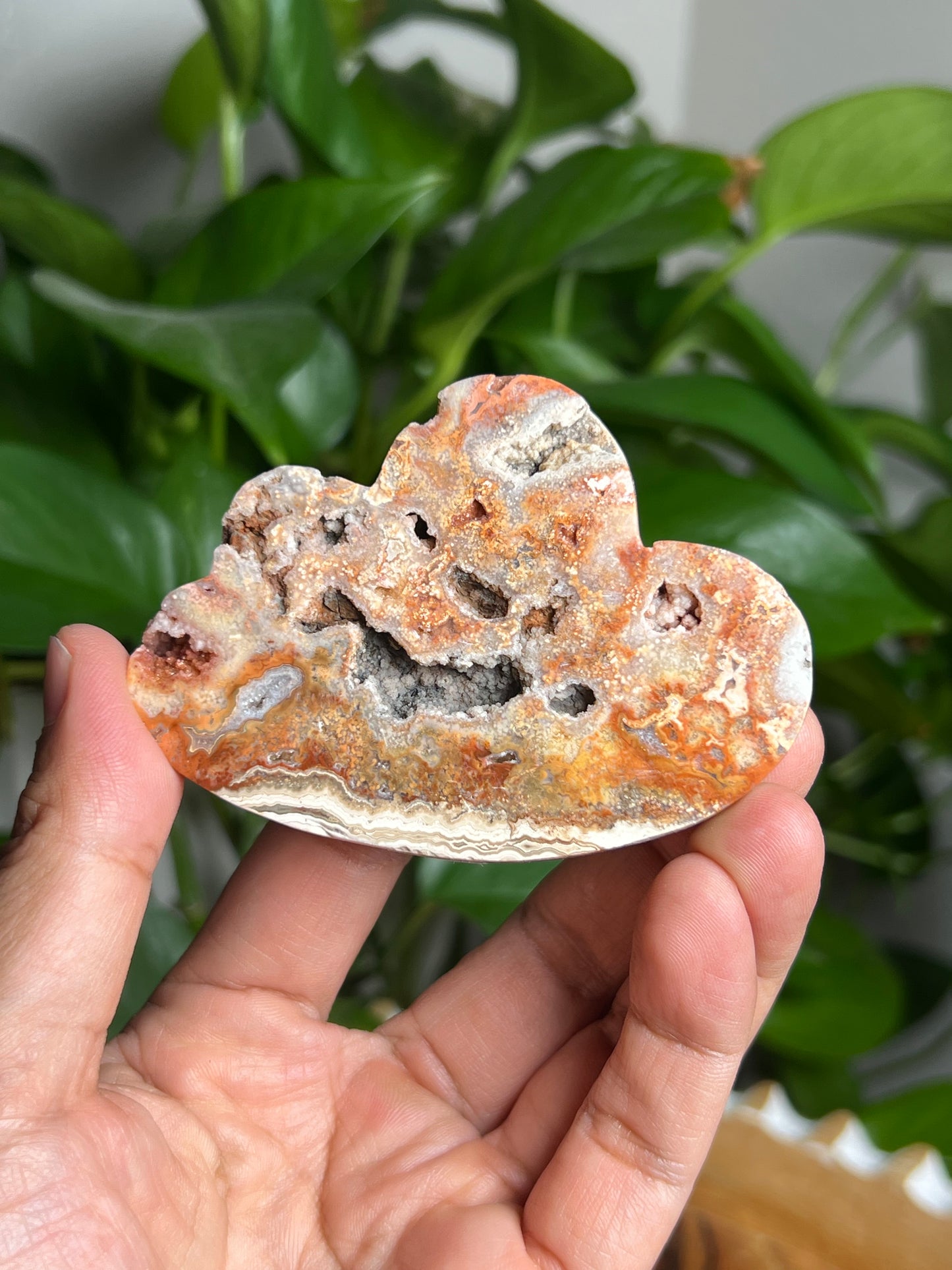 Crazy Lace Agate Cloud: NS
