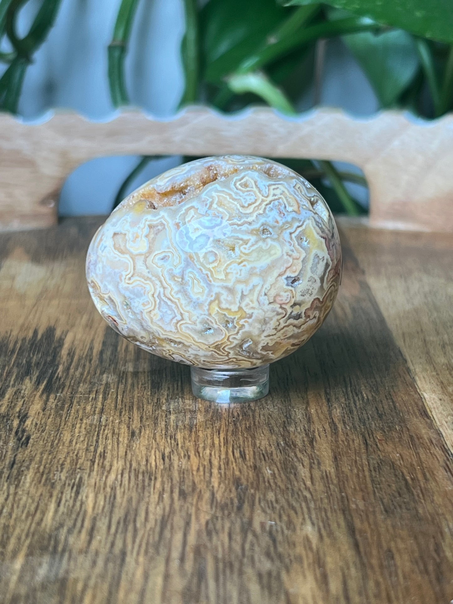 Crazy Lace Agate Egg