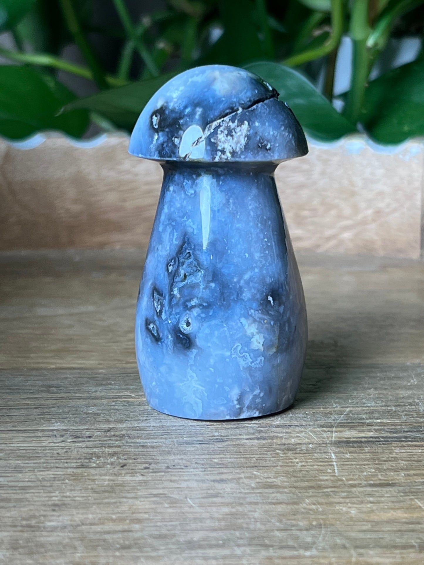 Blue Plume Agate Mushroom: ZE