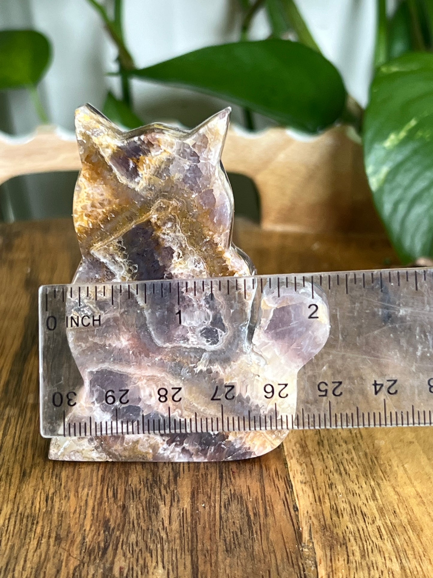 Indonesia Amethyst Cat Ci