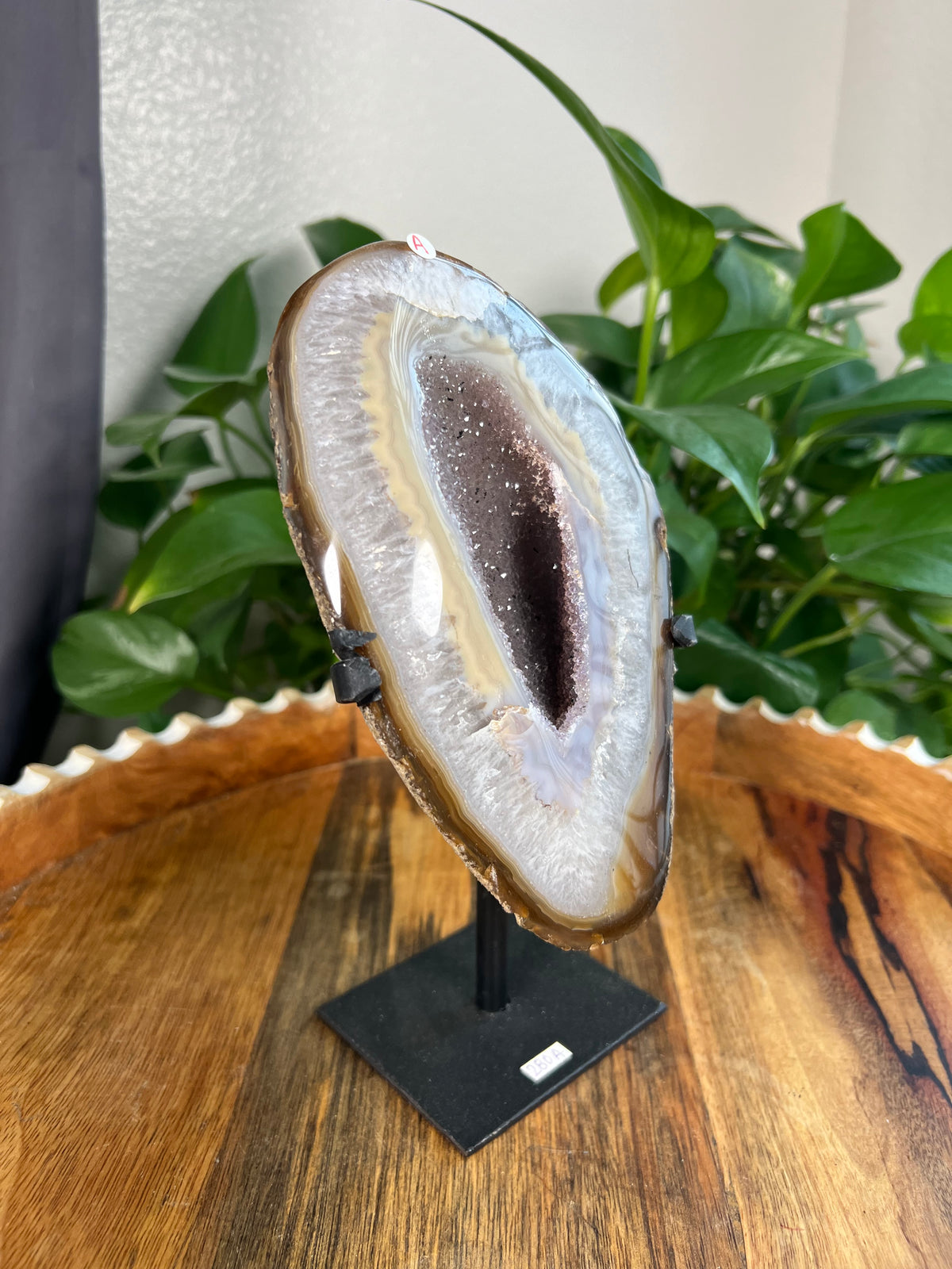 Brazilian Druzy Agate: Ai