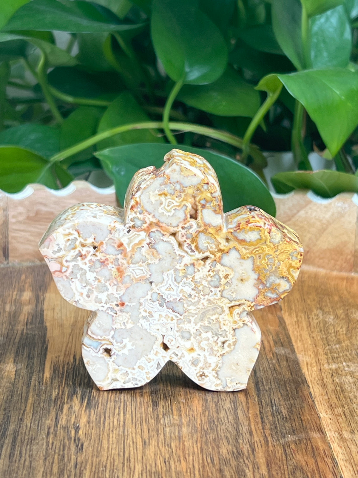 Crazy Lace Agate Flower: Ai
