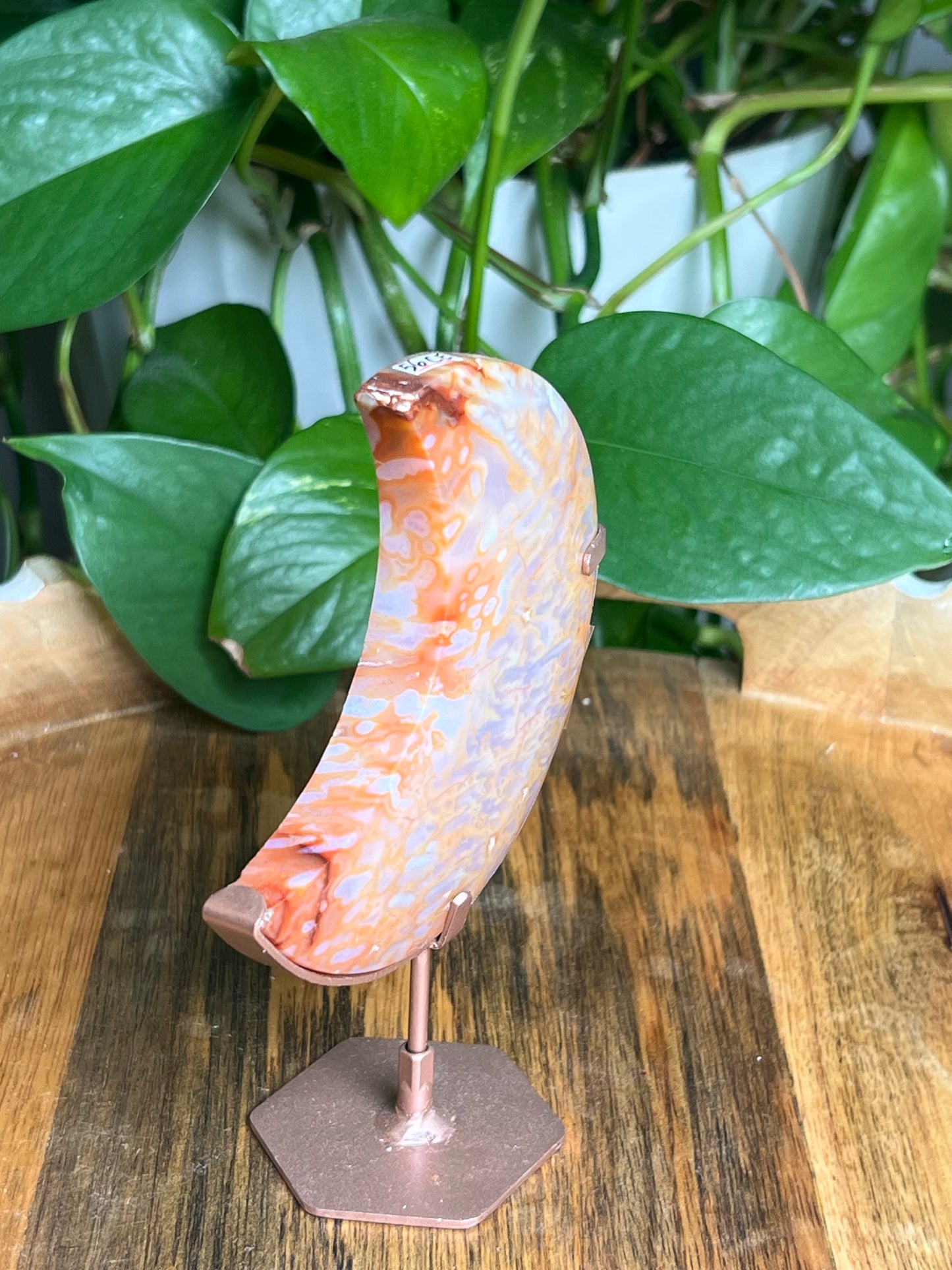 Carnelian Moon: CE