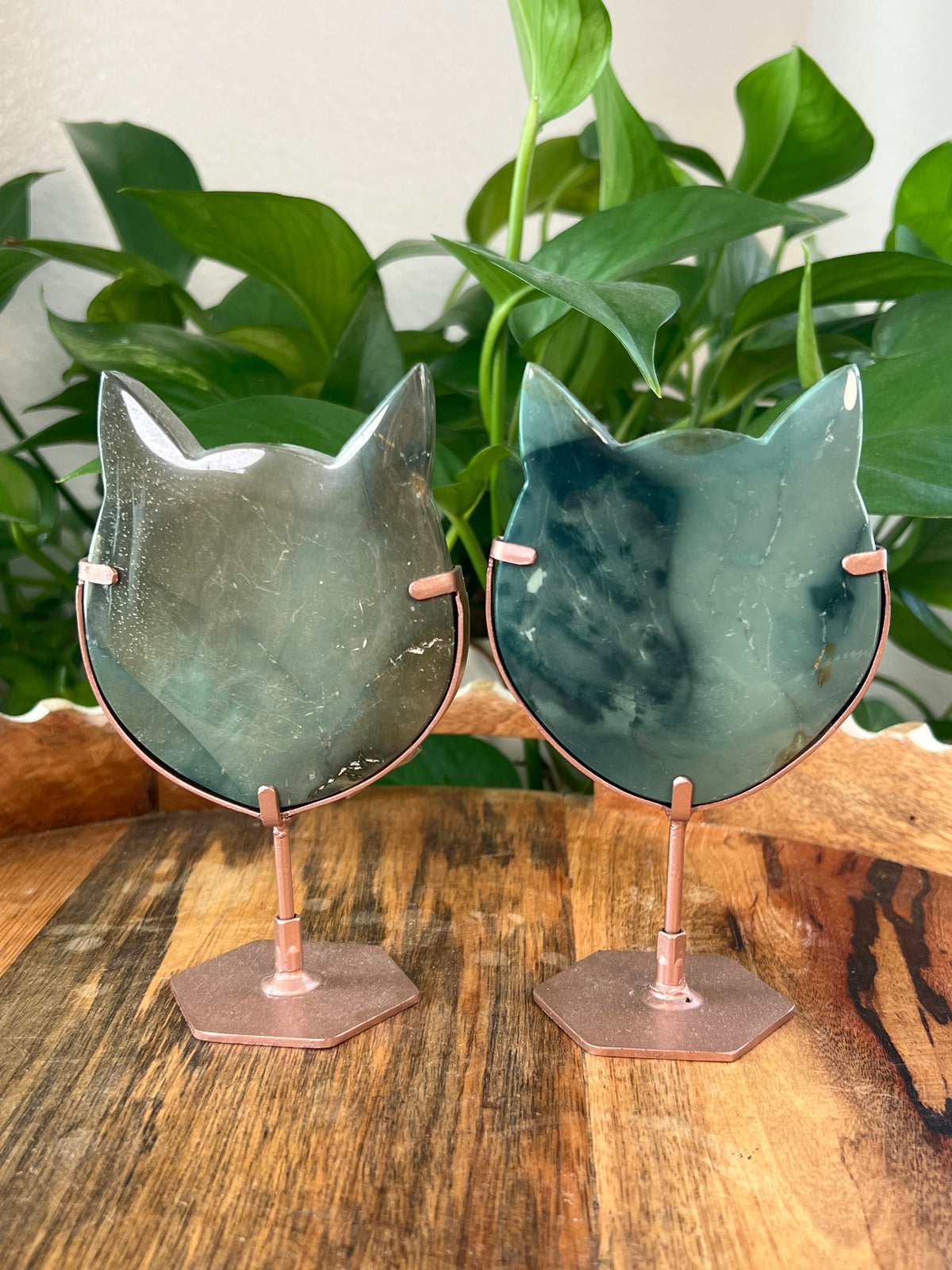 Blue Green Jasper Cat Heads
