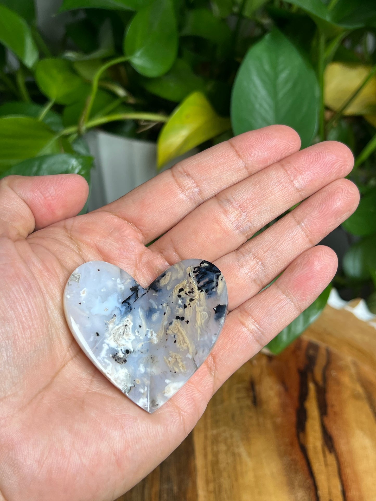 Dendritic Tiger Agate 3D Butterfly HA