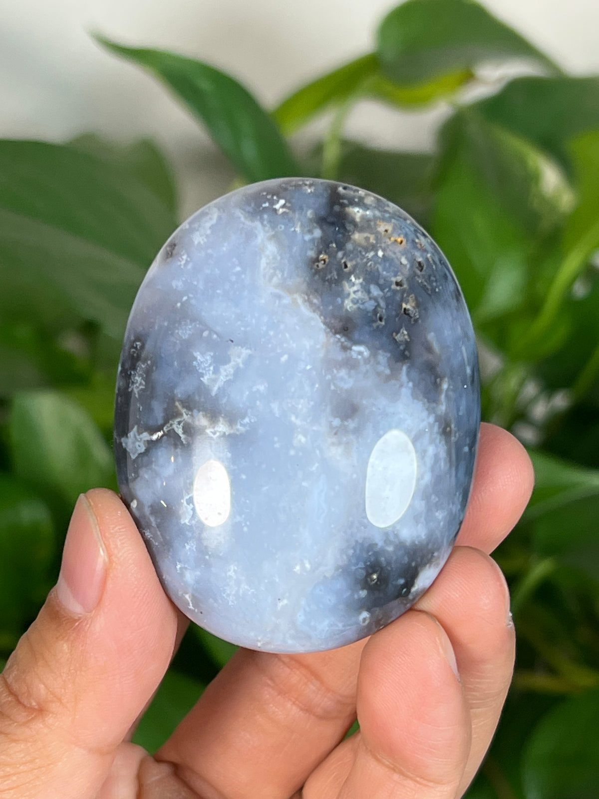 Blue Plume Agate Palmstones