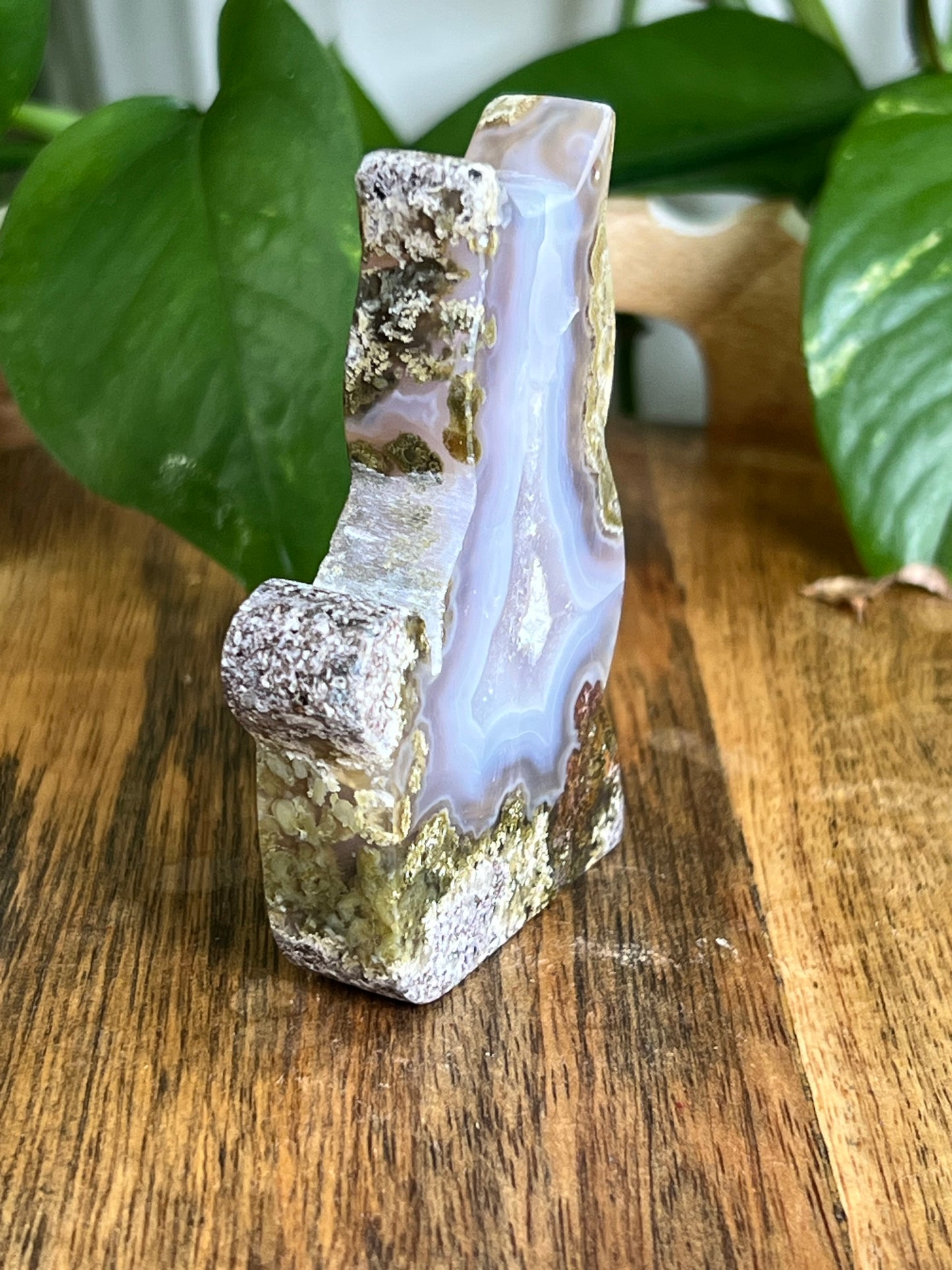 Scenic Moss Agate Cat HV