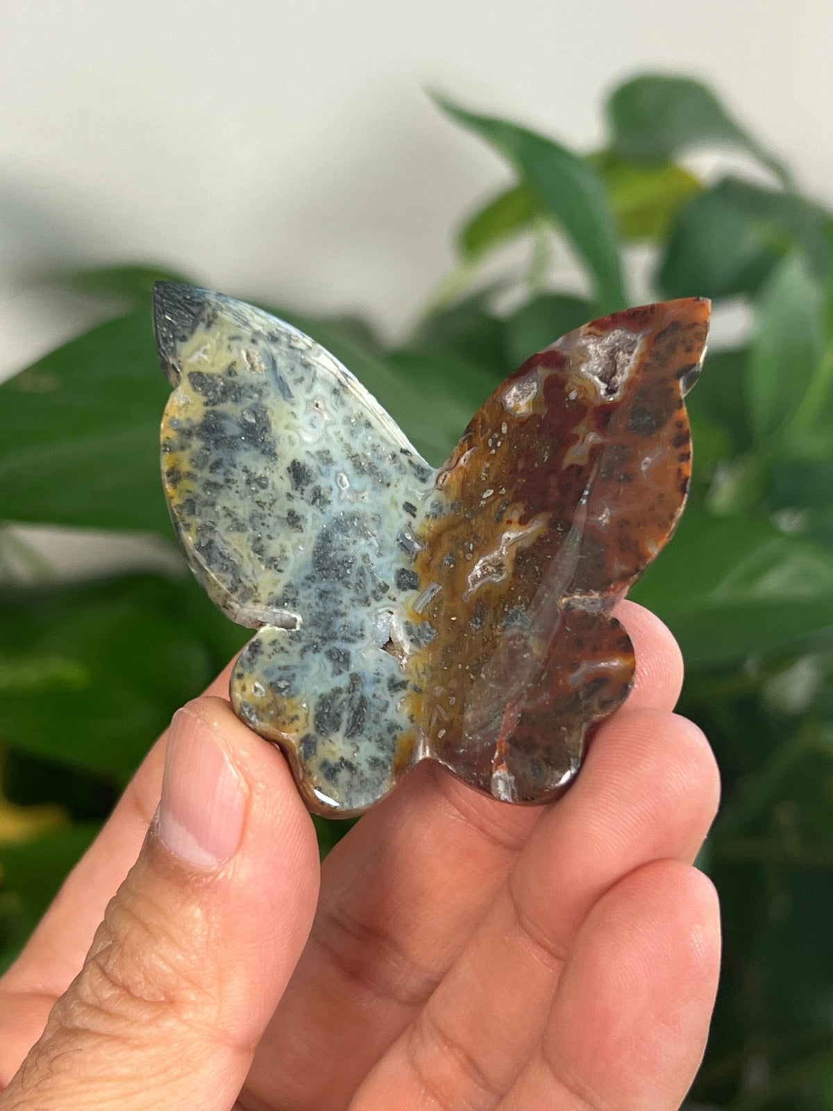 Marcasite 3D Butterflies