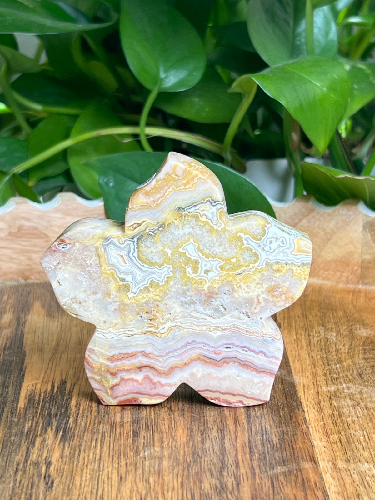 Crazy Lace Agate Flower: CD