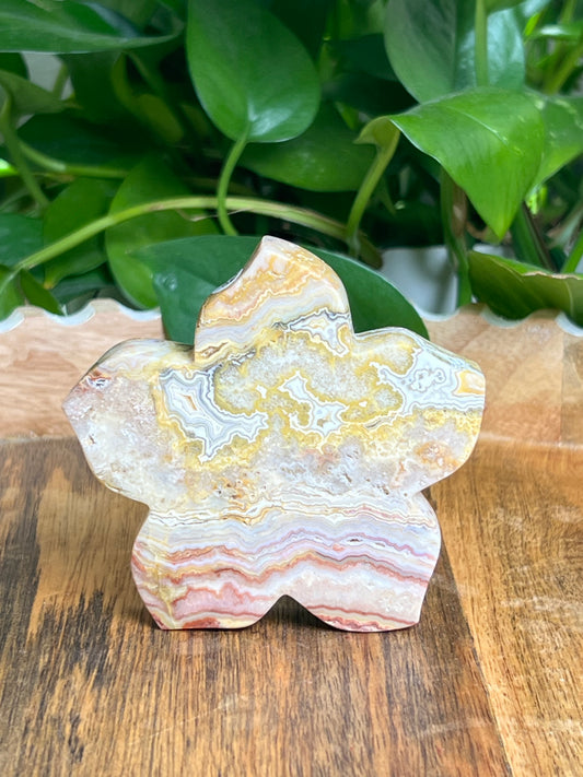 Crazy Lace Agate Flower: CD