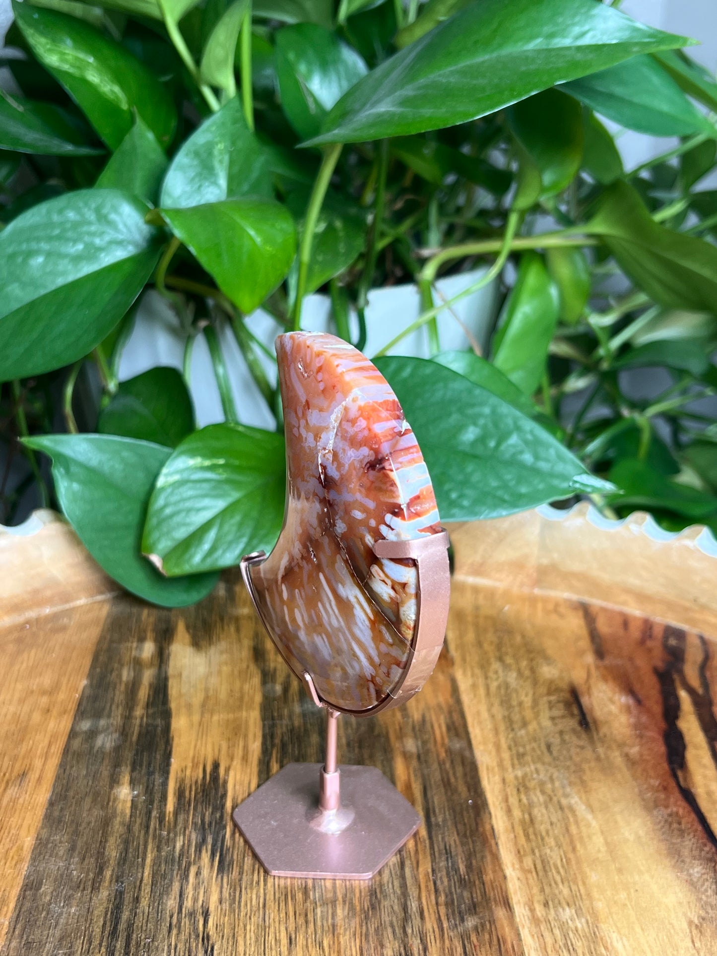 Carnelian Moon: Bi