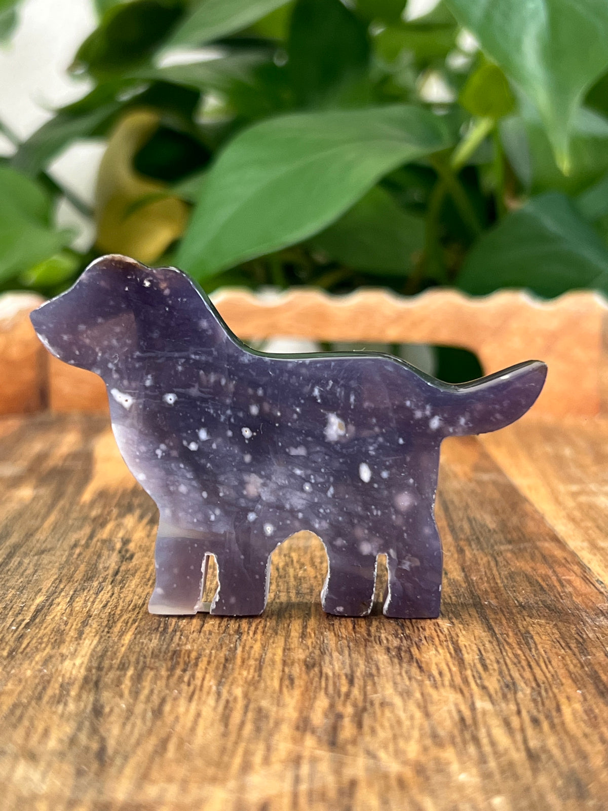 Purple Chalcedony Dogs