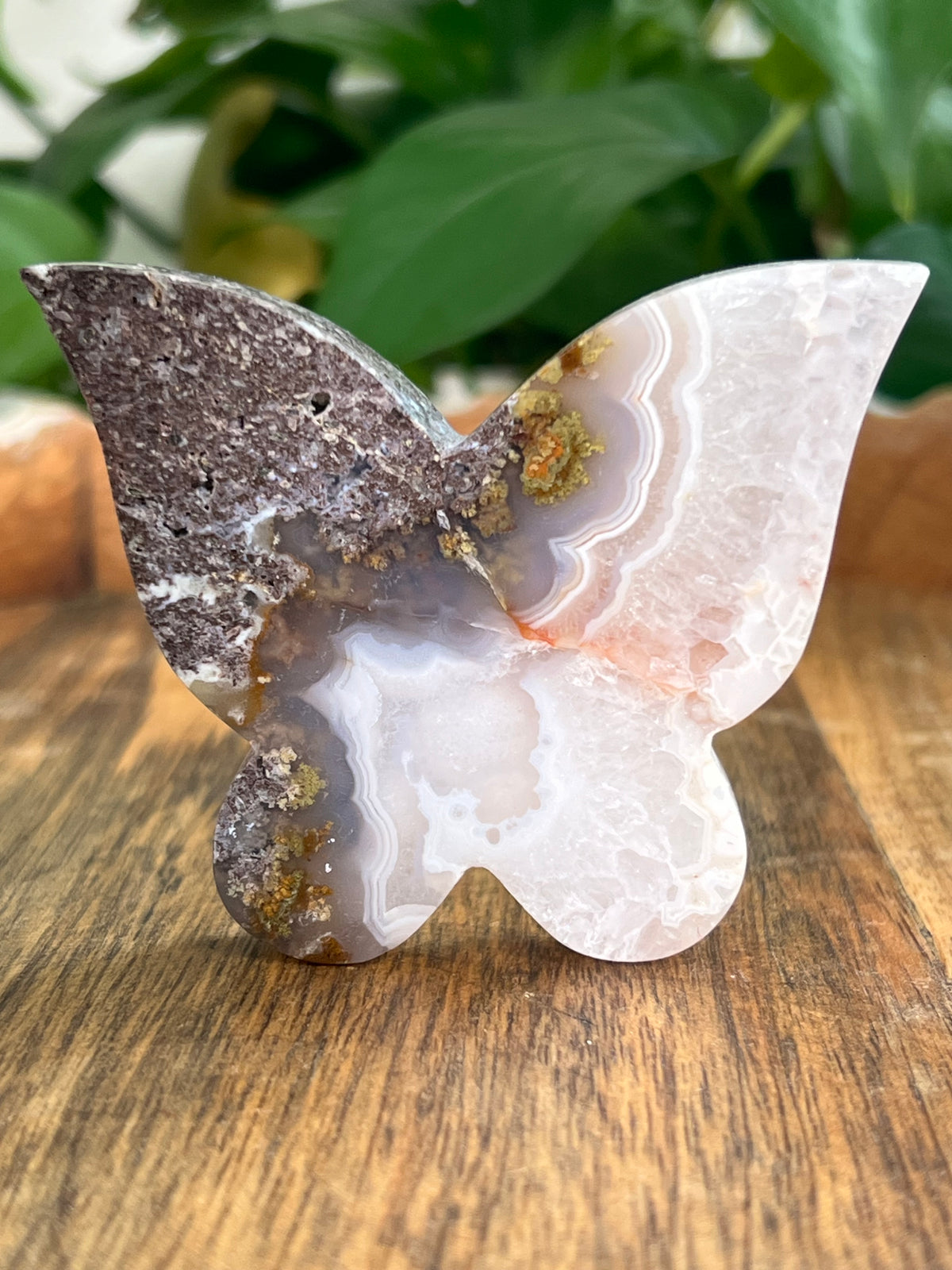 Scenic Moss Agate Butterfly: NA