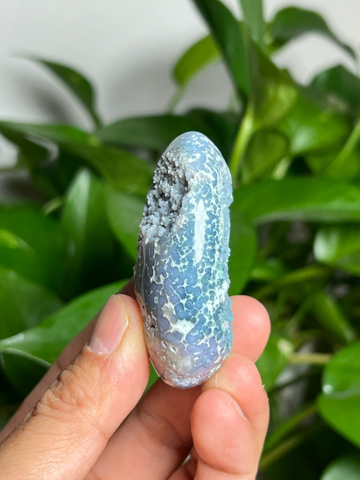 Grape Agate Palmstone: TA