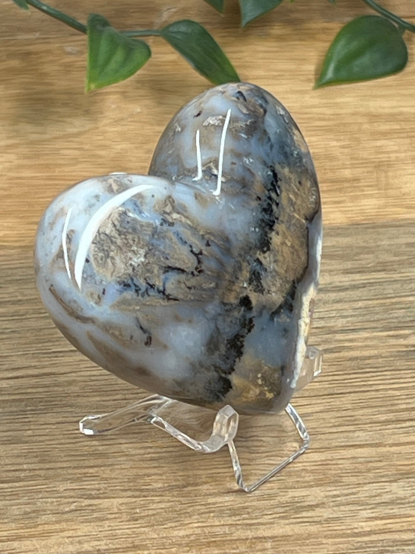 Dendritic Tiger Agate Heart