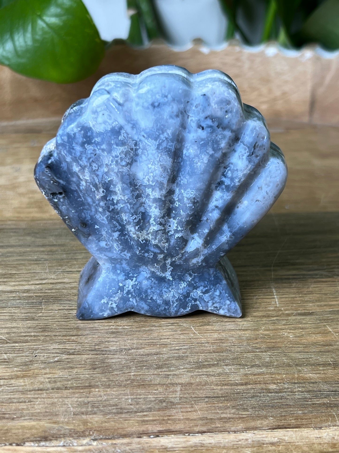 Blue Plume Agate Shell