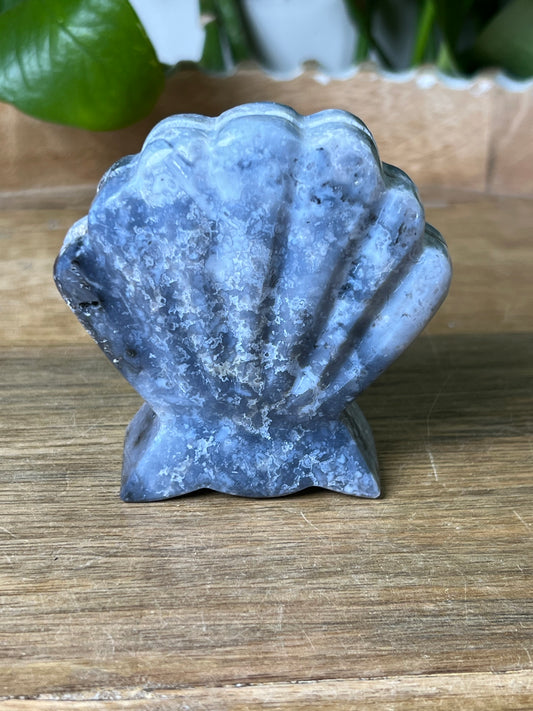 Blue Plume Agate Shell