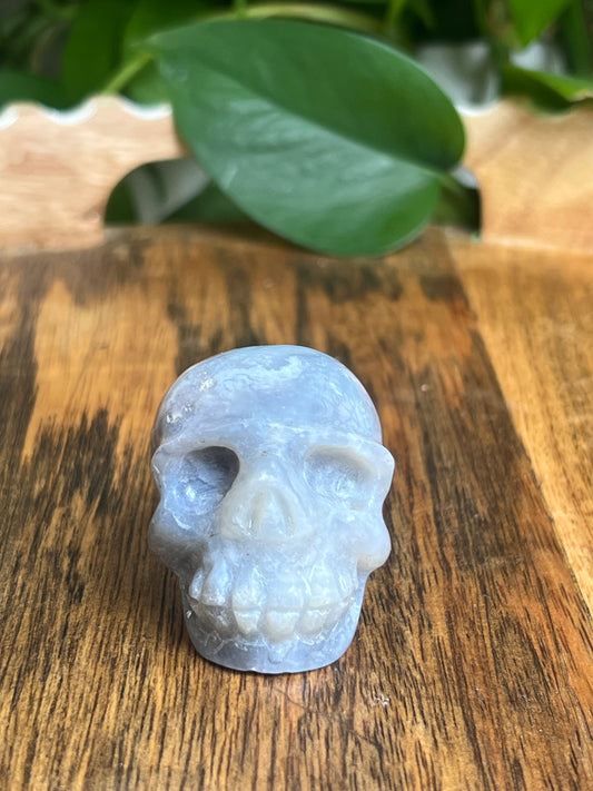 Blue Plume Agate Skull: G