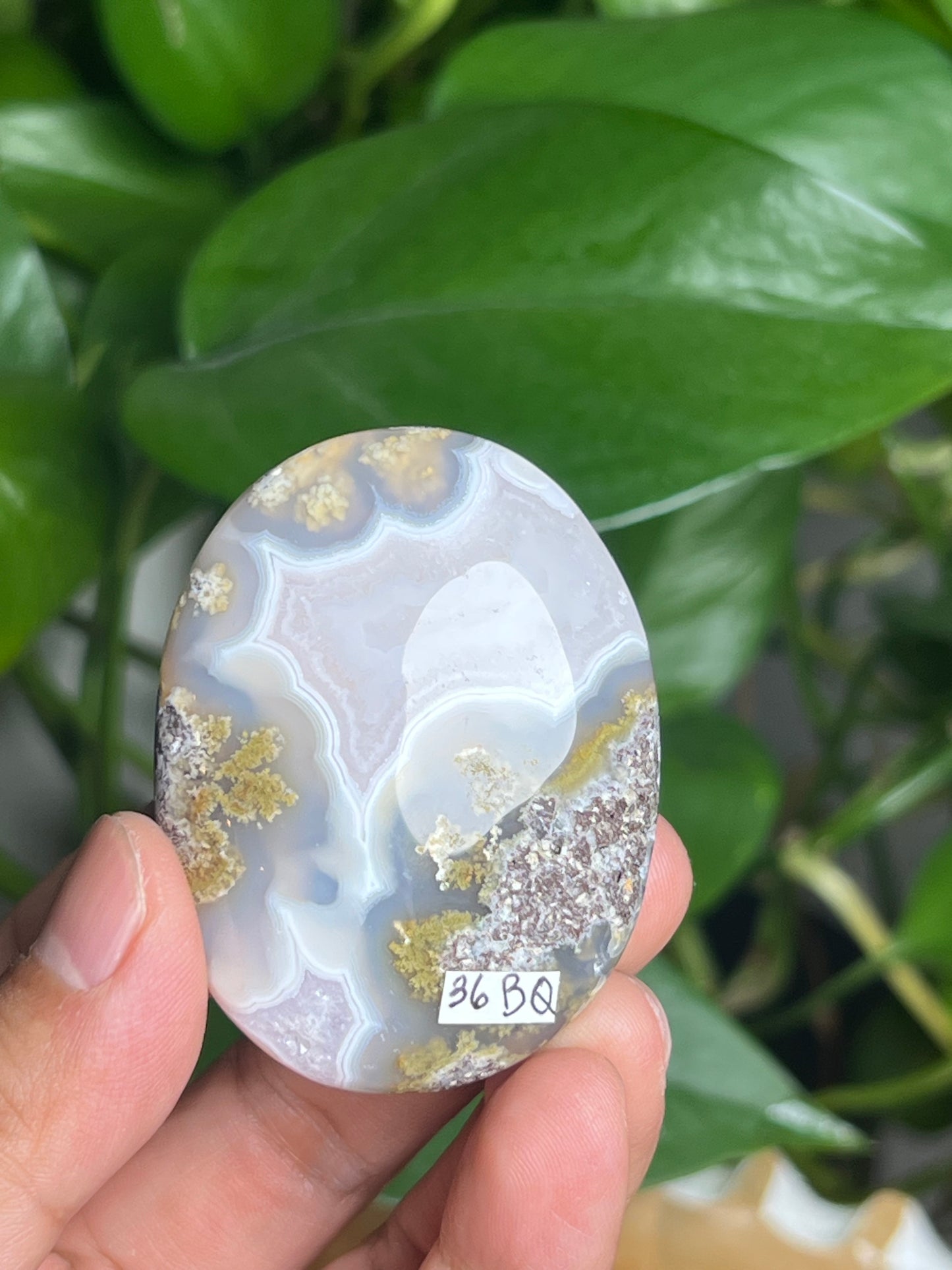 Scenic Moss Agate Palmstone: BQ