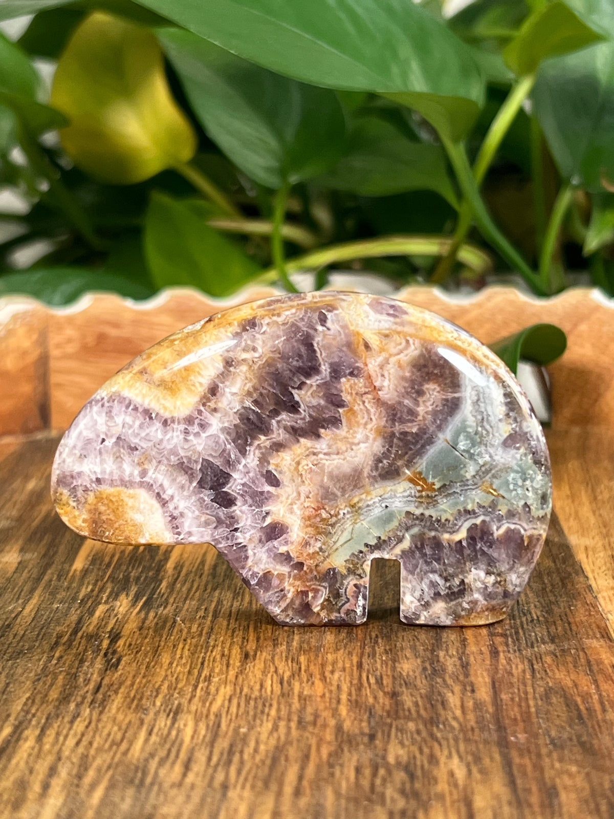 Indonesian Amethyst Bear: SQ