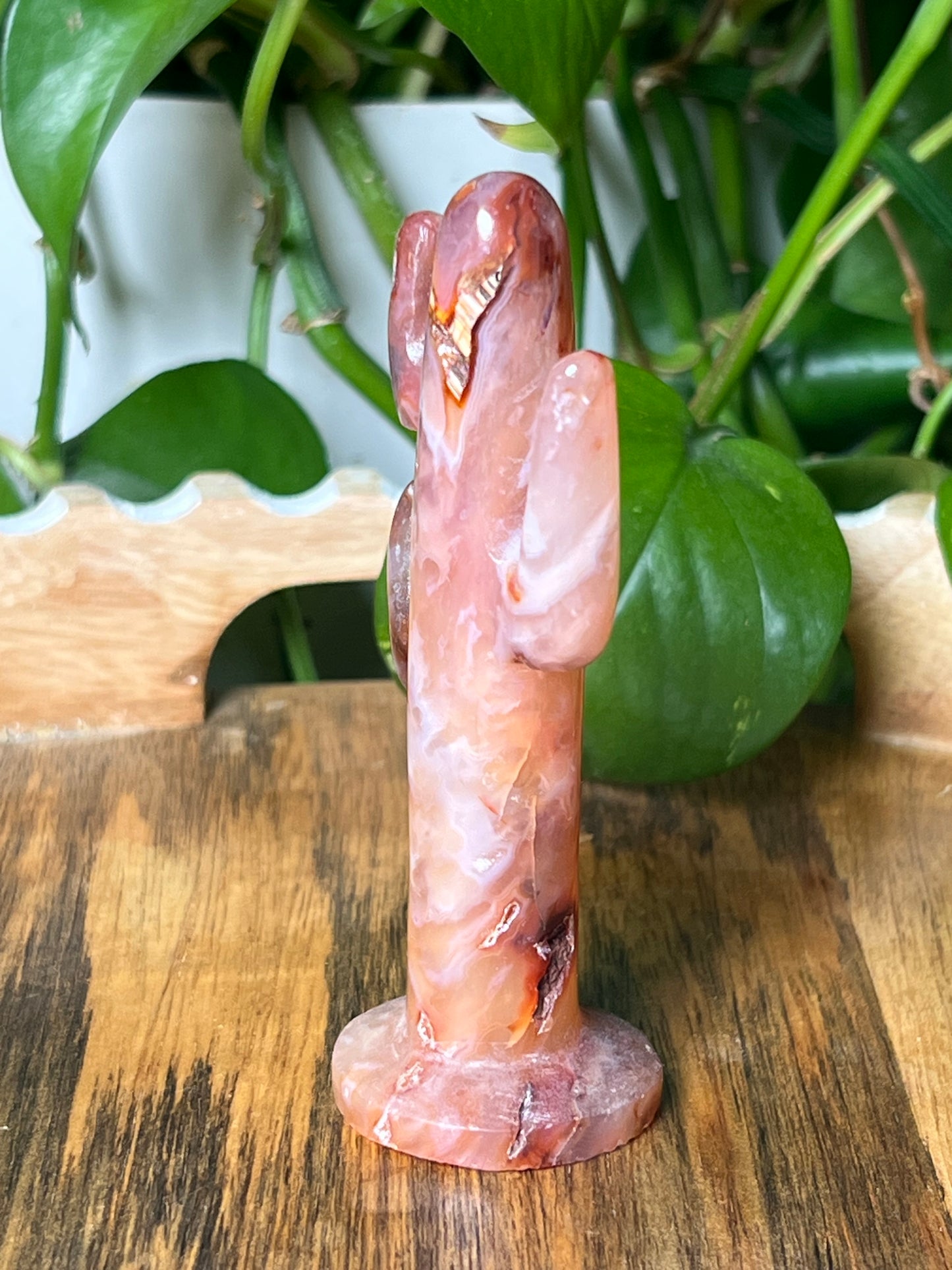 Pink Carnelian Cactus