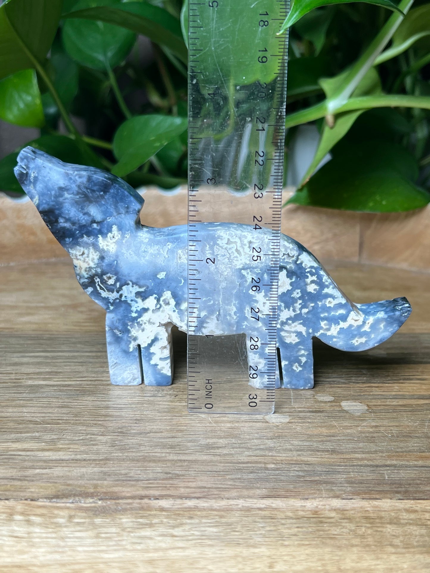 Blue Plume Agate Dog